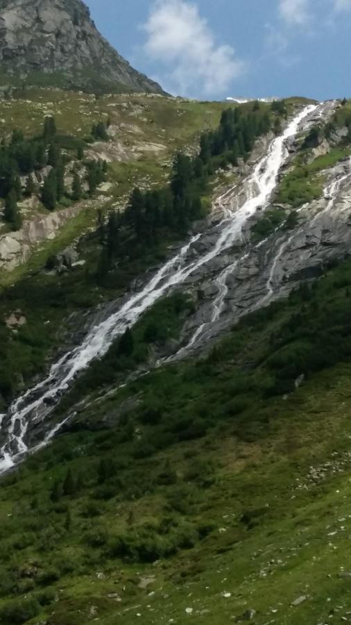 伊丽莎白小屋宾馆 米特西尔 外观 照片